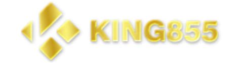 King855 Agent .